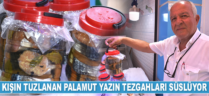 Kışın tuzlanan palamut yazın tezgahları süslüyor