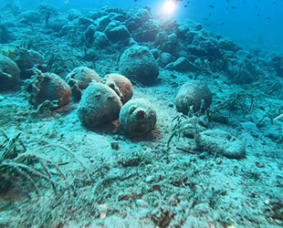 Ayvalık'taki bin yıllık batık gemi sualtı meraklıları tarafından keşfediliyor