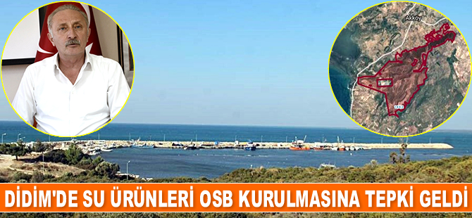 Didim Belediyesi, Su Ürünleri Organize Sanayi Bölgesi kurulmasına karşı çıktı