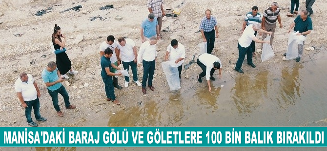 Manisa'daki baraj gölü ve göletlere 100 bin adet balık bırakıldı