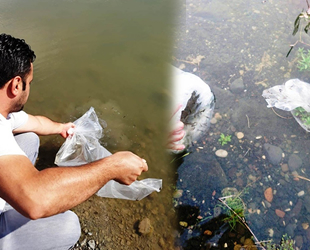 Samsun'da göl ve göletlere 120 bin pullu sazan yavrusu bırakıldı