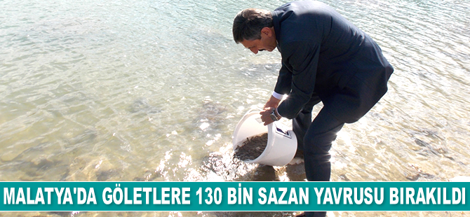 Malatya'da göletlere 130 bin sazan yavrusu bırakıldı