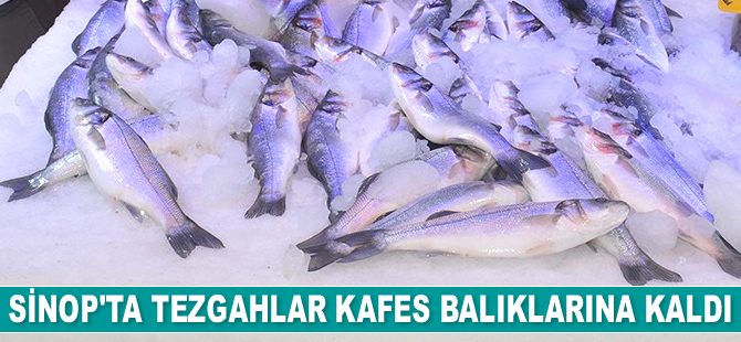 Sinop’ta tezgahlar kafes balıklarına kaldı
