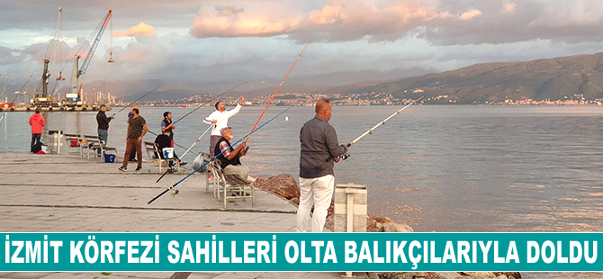 İzmit Körfezi sahilleri olta balıkçılarıyla doldu