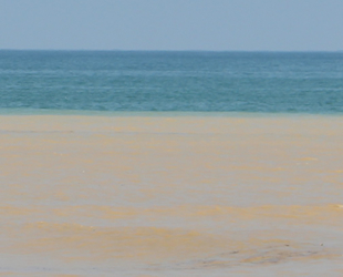 Sel nedeniyle Akçakoca’da denize girmek yasaklandı