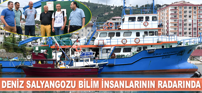 Murat Dağtekin: Deniz salyangozunun ekonomiye 15 milyon dolar katkısı var