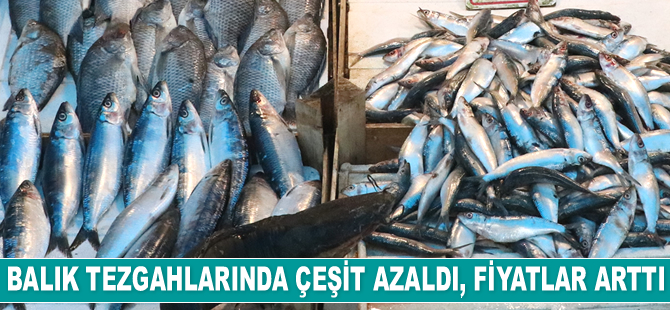 Balık tezgahlarında çeşit azaldı, fiyatlar arttı