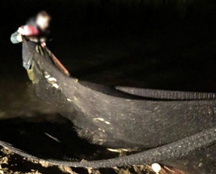 Balıkesir'de kaçak balık avlayanlara ceza yağdı