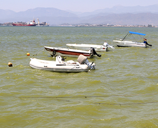 Fethiye Körfezi'nde denizin renginin neden değiştiği ortaya çıktı