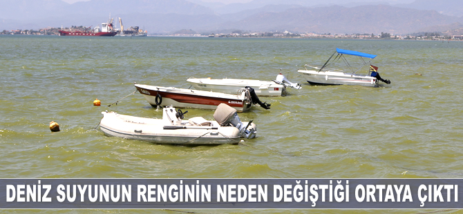 Fethiye Körfezi'nde denizin renginin neden değiştiği ortaya çıktı