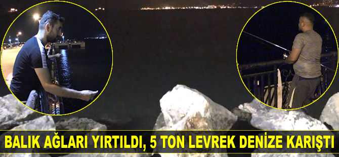 Balık çiftliğinin ağları yırtıldı, 5 ton levrek denize karıştı