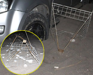 Caretta carettaların üreme alanında drift atan sürücüye 60 bin TL ceza verildi