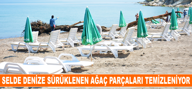 Akçakoca'da selde denize sürüklenen ağaç parçaları temizleniyor