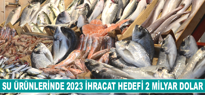 Türkiye, su ürünlerinde 2 milyar dolarlık ihracat hedefliyor