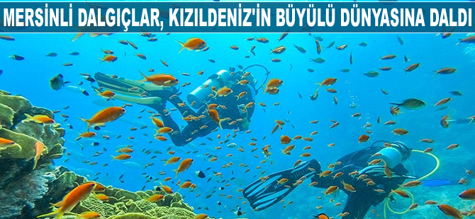 Mersinli dalgıçlar, Kızıldeniz’in büyülü dünyasına daldı