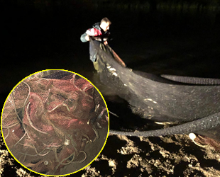 Manyat ağ kullanımı balık stoğunu tehlikeye sokuyor