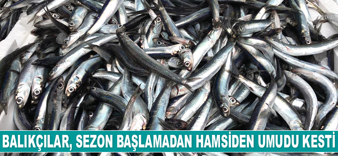 Balıkçılar, sezon başlamadan hamsiden umudu kesti