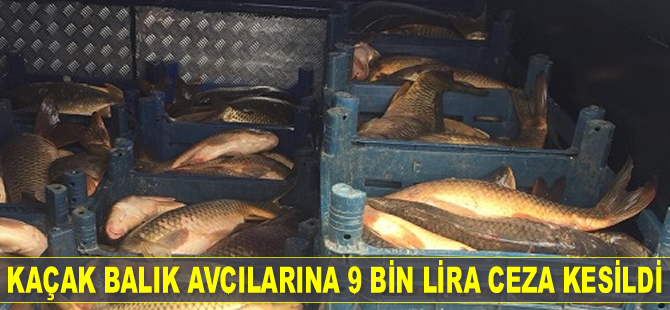 Kaçak balık avcılarına 9 bin lira para cezası kesildi