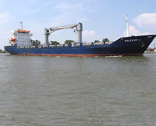 Nijerya'da kaçırılan 10 Türk denizci serbest bırakıldı