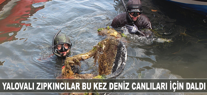 Yalovalı zıpkıncılar bu kez deniz canlıları için daldı