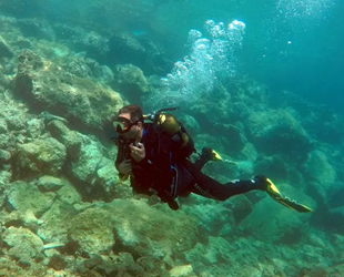 Saros Körfezi su altı güzellikleri büyülüyor