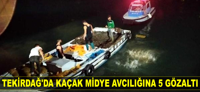 Tekirdağ'da kaçak midye avcılığı yapan 5 kişi gözaltına alındı