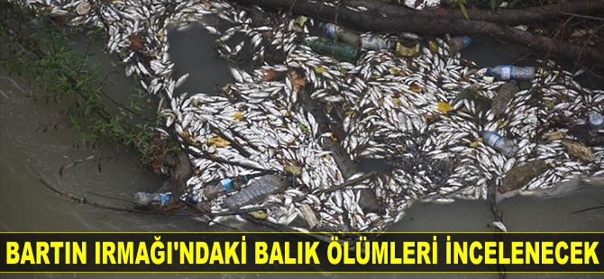 Bartın Irmağı'ndaki balık ölümleri incelenecek