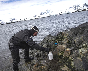 Kişisel bakım ürünleri Antarktika kıyılarını da kirletti
