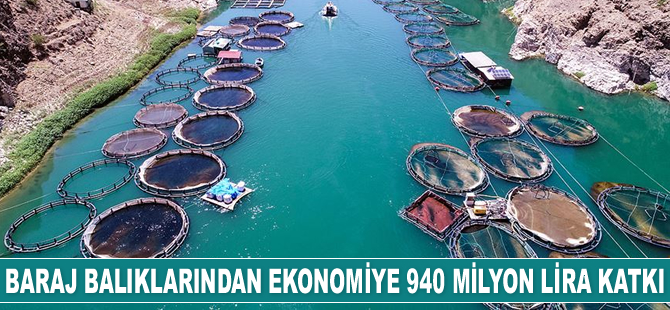 Barajlara bırakılan balıklarla ekonomiye yılda 940 milyon lira katkı sağlandı