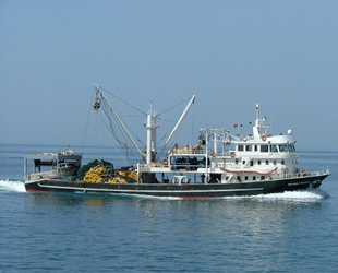 Sarıyer’de ‘Balıkçılar Çalıştayı’ düzenlenecek