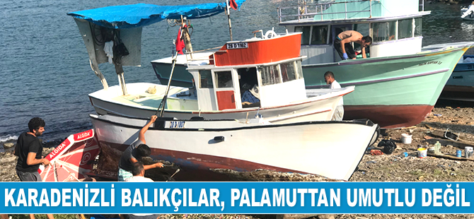 Karadenizli balıkçılar, sezon başlamadan palamuttan umudunu kesti