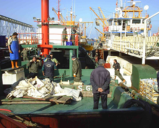 Balıkçılara yeni sezon öncesi ‘küçük boy’ uyarısı yapıldı