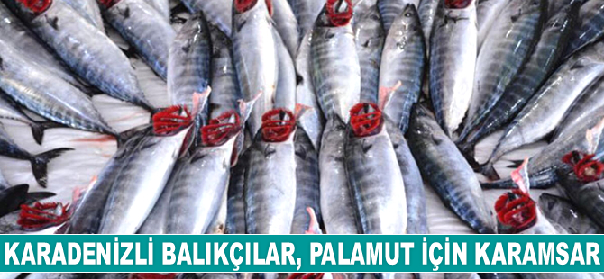 Karadenizli balıkçıların umudu hamsi oldu