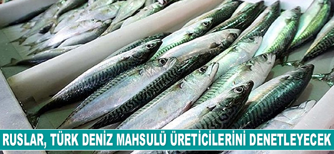 Rus uzmanlar, Türk deniz mahsulü üreticilerini denetleyecek