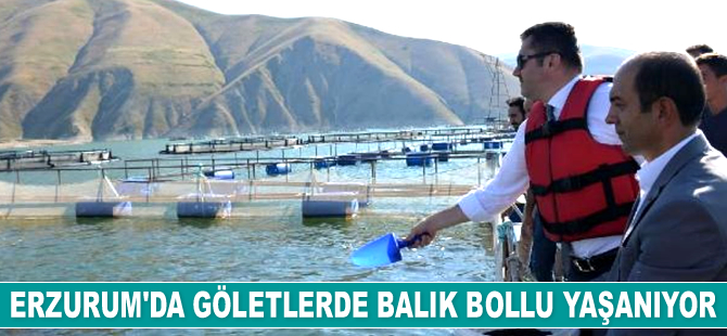 Erzurum'da gölet ve havuzlar balık bolluğu yaşanıyor