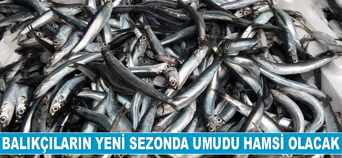 Balıkçıların yeni sezonda umudu hamsi olacak