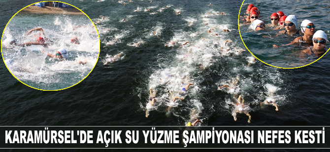 Karamürsel'de Açık Su Yüzme Şampiyonası nefes kesti
