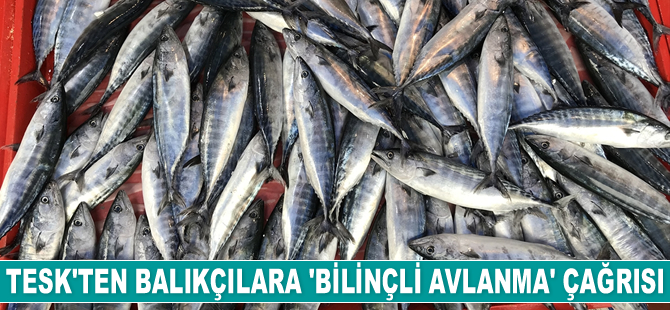 Bendevi Palandöken, balıkçılara bilinçli avlanma çağrısı yaptı