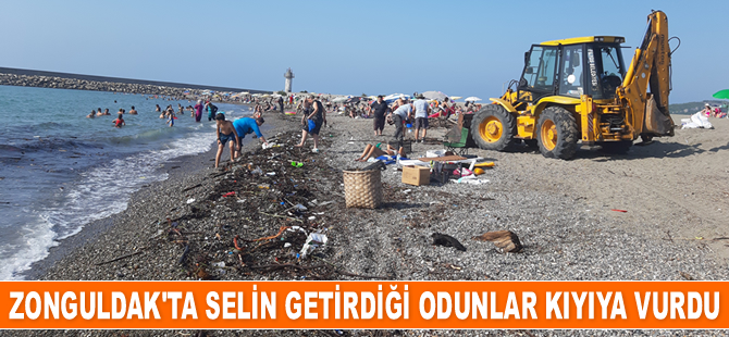 Zonguldak’ta selin getirdiği odunlar kıyıya vurdu