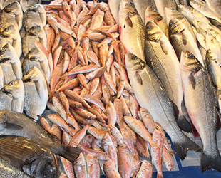 Türkiye’nin balık ihracatı 1 milyar dolara ulaştı