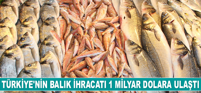 Türkiye’nin balık ihracatı 1 milyar dolara ulaştı