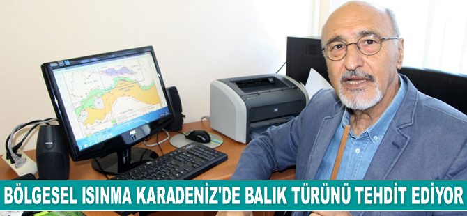 Bölgesel ısınma Karadeniz’de balık türünü ve bolluğunu tehdit ediyor