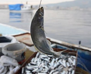 Yasadışı balık avcılığına 18 milyon lira para cezası kesildi