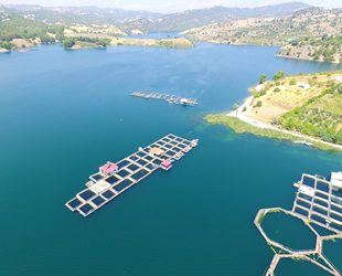 Kahramanmaraş, alabalıktan yıllık 8 milyon euro gelir elde ediyor