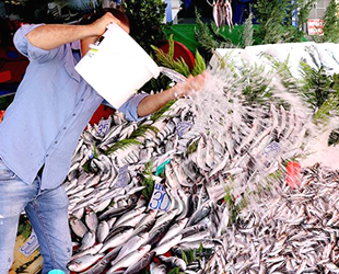 Balıkçılar 'Vira Bismillah' dedi, tezgahlar şenlendi