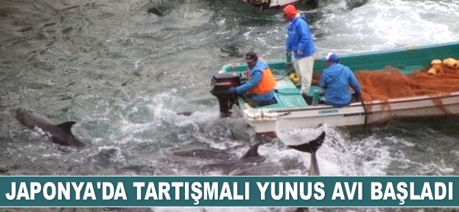 Japonya'da tartışmalı yunus avı başladı