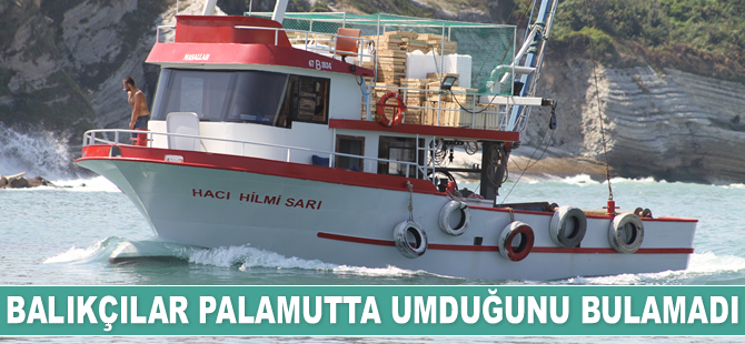 Balıkçılar palamutta umduğunu bulamadı