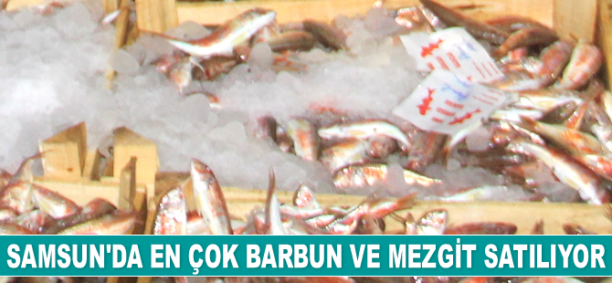Samsun’da en çok barbun ve mezgit satılıyor