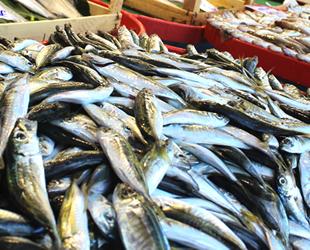 Tezgahlarda balık bollaştı, fiyatlar düştü