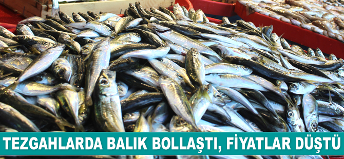 Tezgahlarda balık bollaştı, fiyatlar düştü